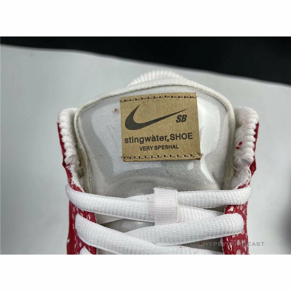 HypeYourBeast Nike Stingwater X SB Dunk Low ‘Magic Mushroom’
