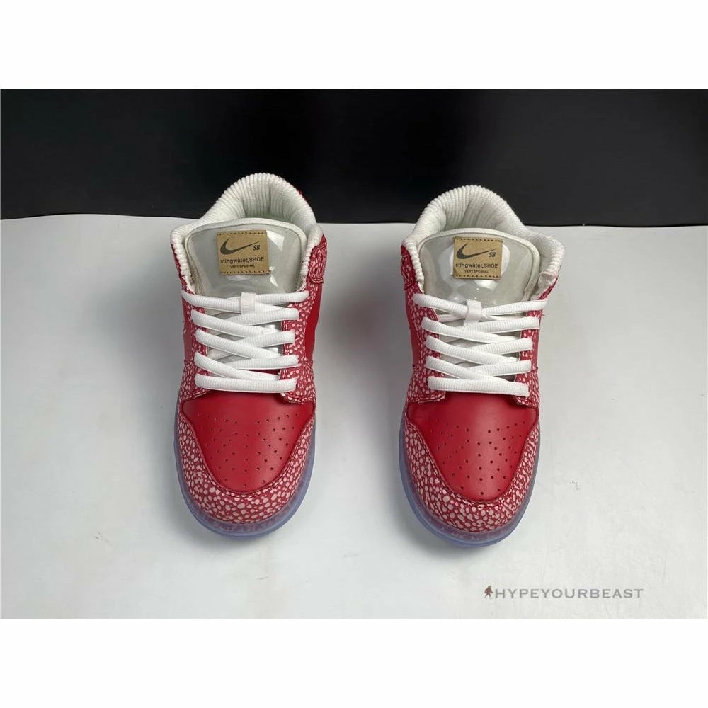 HypeYourBeast Nike Stingwater X SB Dunk Low ‘Magic Mushroom’