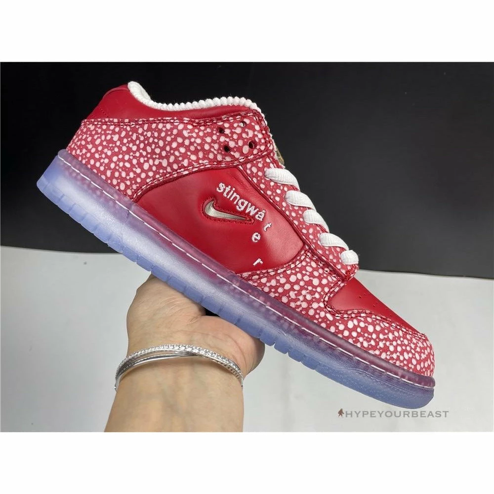HypeYourBeast Nike Stingwater X SB Dunk Low ‘Magic Mushroom’
