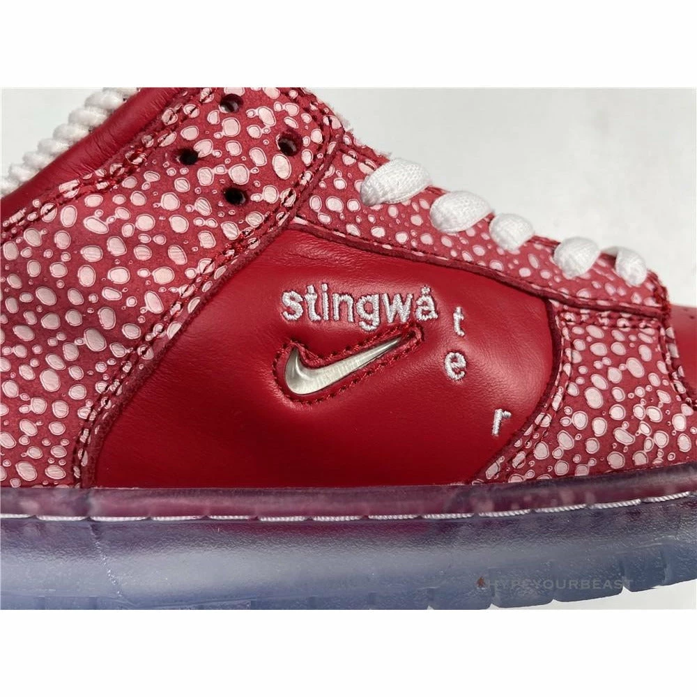 HypeYourBeast Nike Stingwater X SB Dunk Low ‘Magic Mushroom’