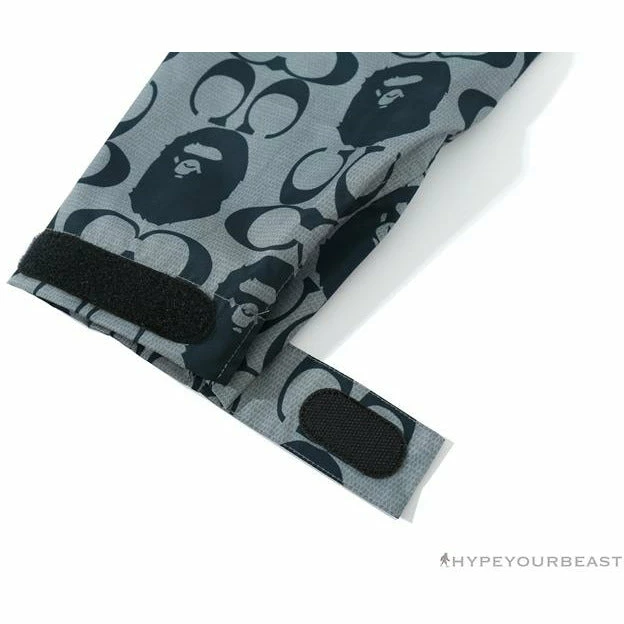 BAPE X COACH Co-Branded Grey-Blue Hoodie