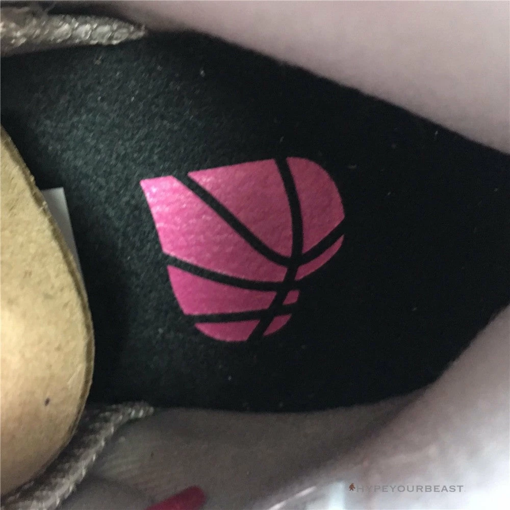 HypeYourBeast Air Jordan 6 Retro SP ‘Reflections Of A Champion’