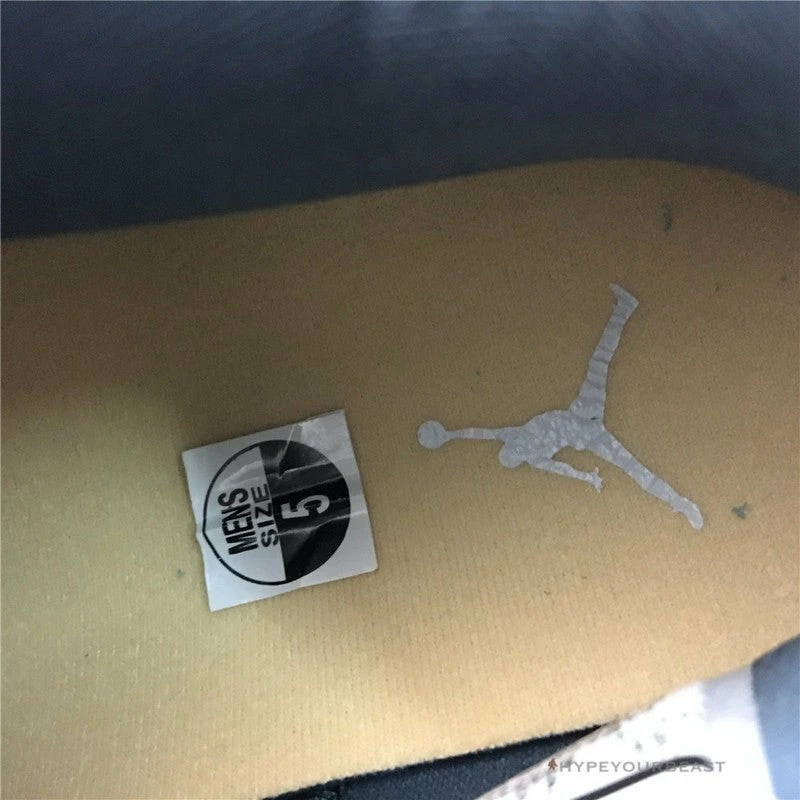 HypeYourBeast Air Jordan 4 WMNS ‘Chameleon’