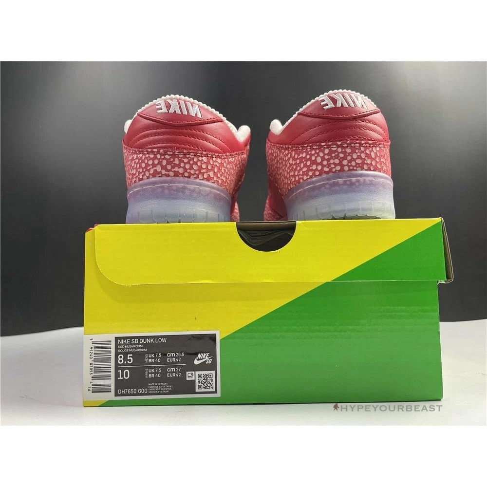 HypeYourBeast Nike Stingwater X SB Dunk Low ‘Magic Mushroom’