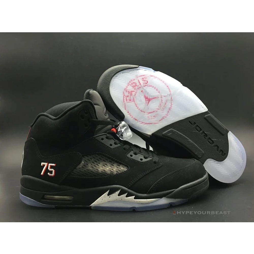 Jordan 5 Retro Paris Saint-Germain