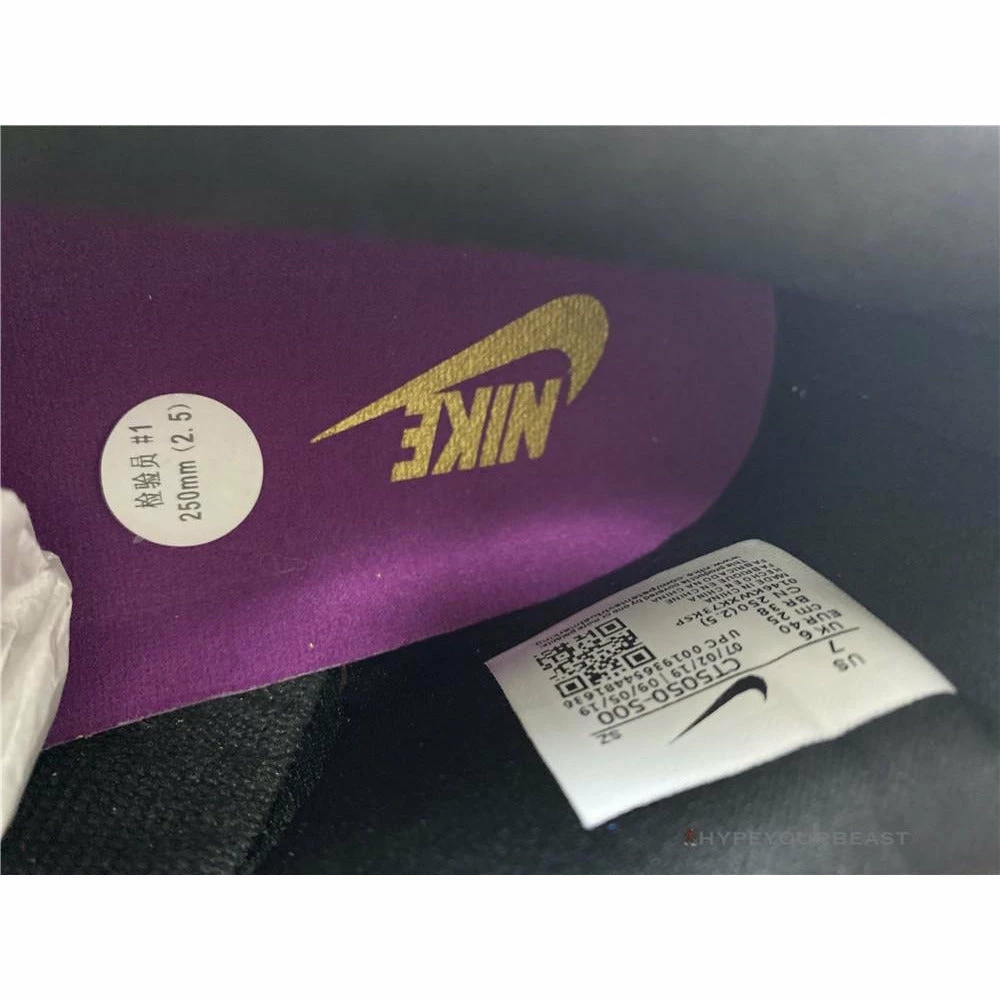 Nike Dunk ‘Viotech’