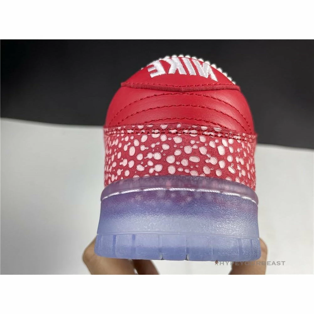 HypeYourBeast Nike Stingwater X SB Dunk Low ‘Magic Mushroom’