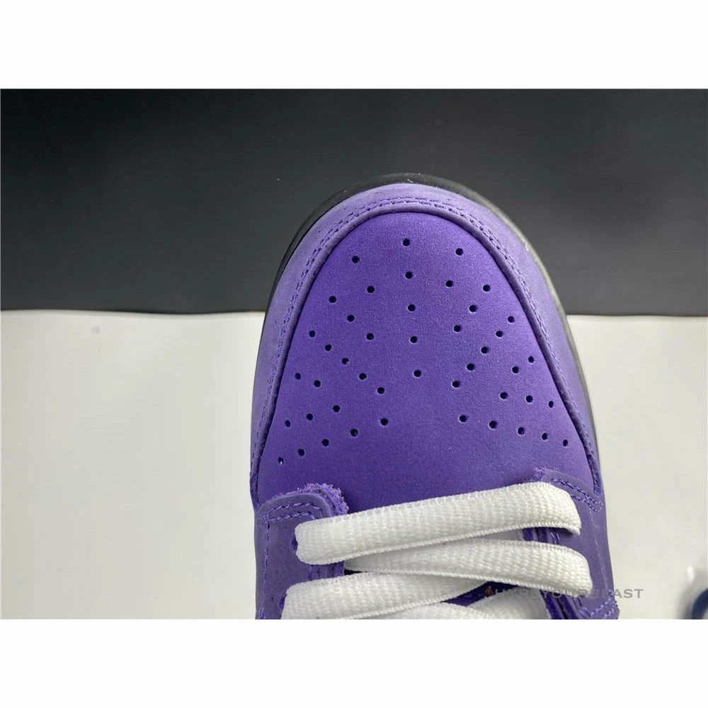 Nike SB Dunk Low ‘Purple Lobster’